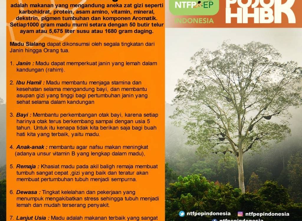 Madu-Sialang-1024x851