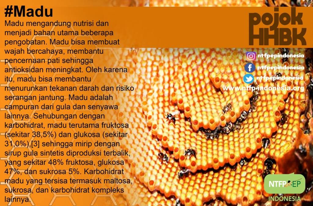 madu-2-1024x674