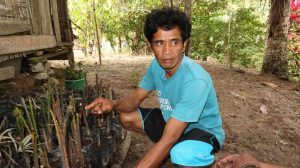 Penjelasan mengenai jenis bibit HHBK oleh masyarakat Desa Namo "Bapak Murlan"